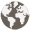 Questa immagine ha l'attributo alt vuoto; il nome del file è iconfinder_internet-network_532724.png